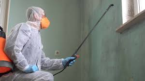 Best Commercial Mold Inspection in Charleston, MO